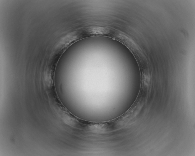X0000112100422200908041515