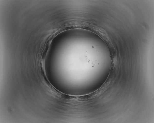 X0000112100423200908041515