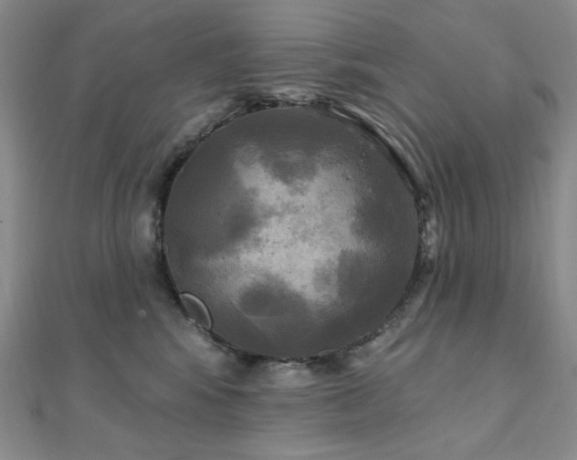 X0000112100424200908041515