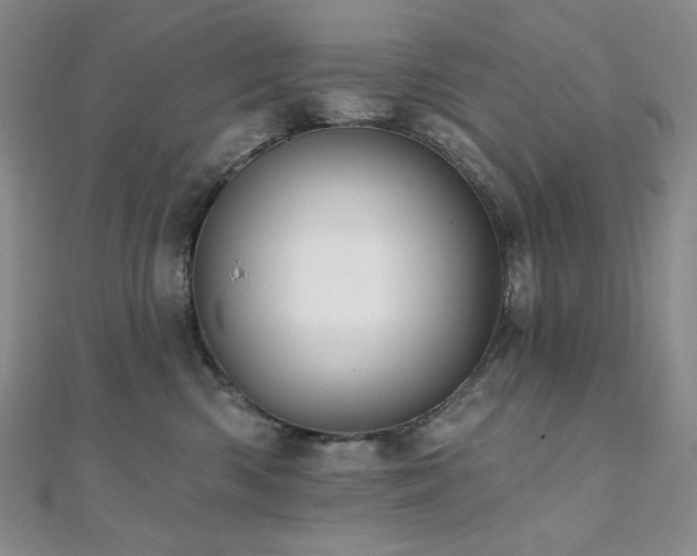 X0000112100426200908041515