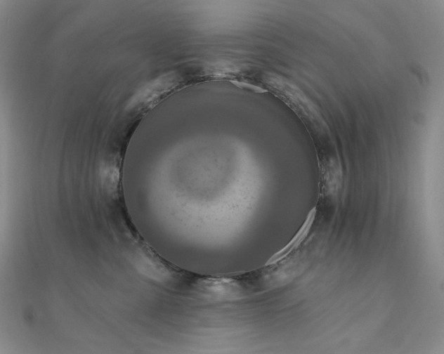 X0000112100427200908041515