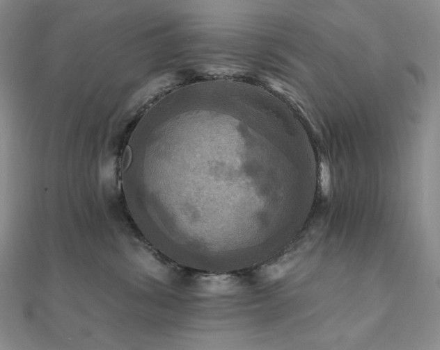 X0000112100428200908041515