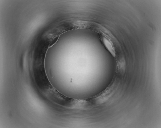 X0000112100429200908041515