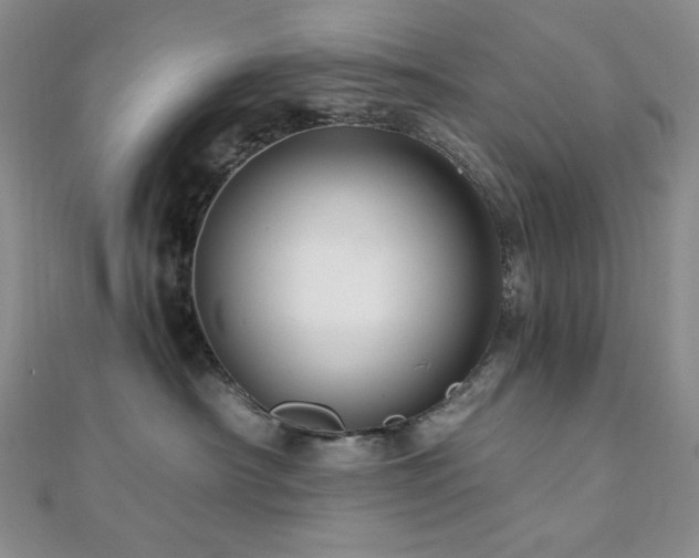 X0000112100430200908041515