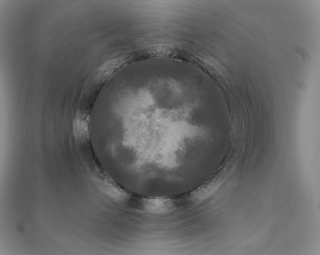 X0000112100432200908041515