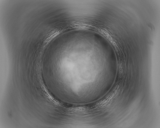 X0000112100433200908041514