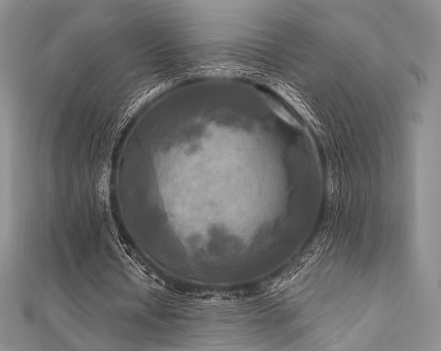 X0000112100434200908041514