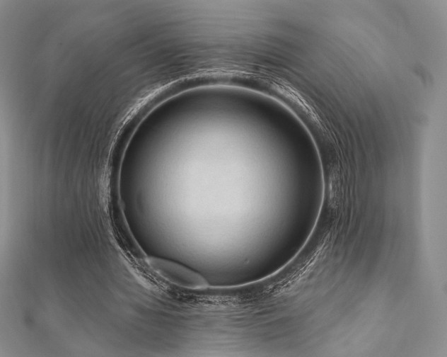 X0000112100436200908041514