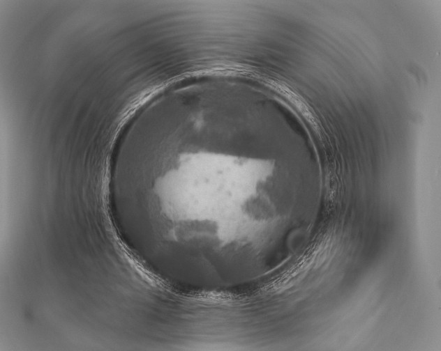 X0000112100437200908041514