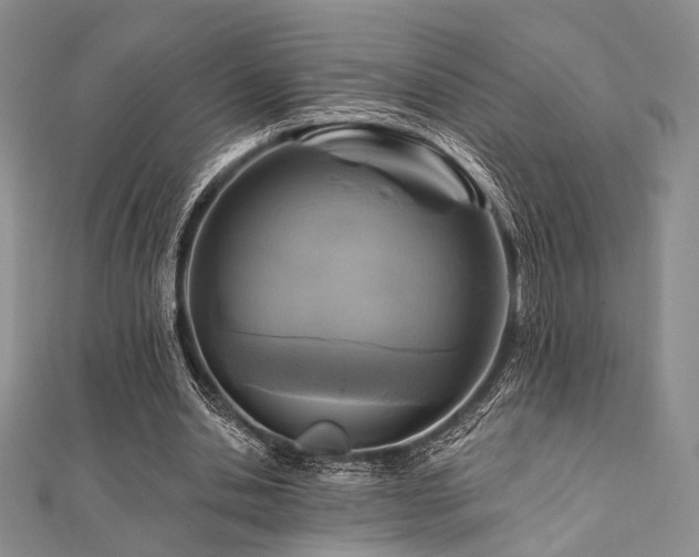 X0000112100438200908041514