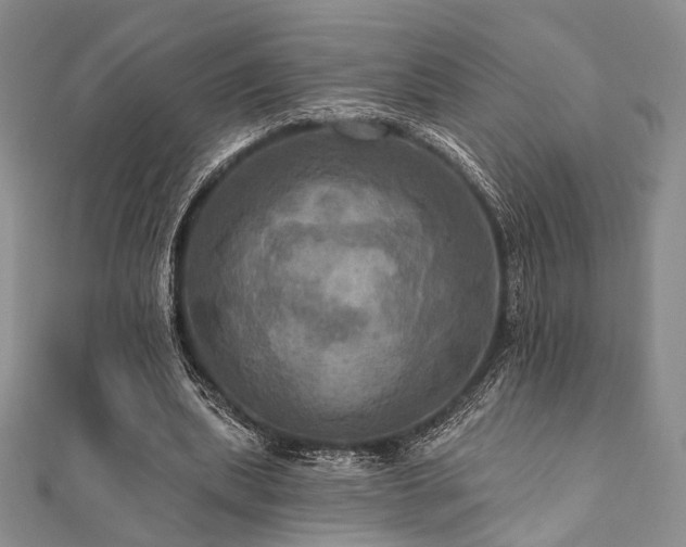 X0000112100439200908041514