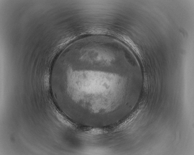 X0000112100441200908041514