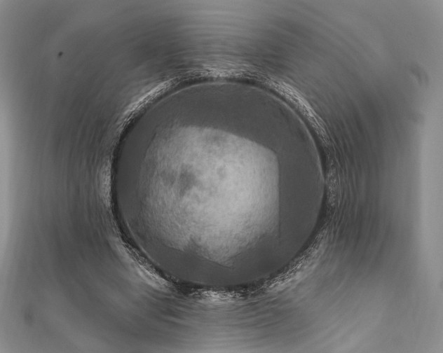 X0000112100442200908041514