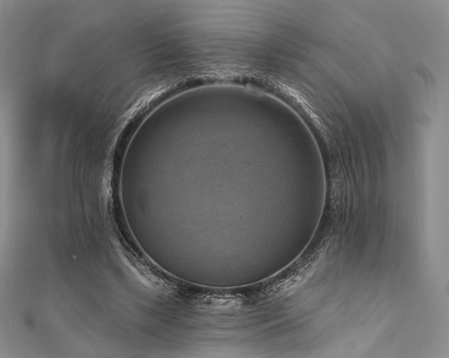 X0000112100443200908041514