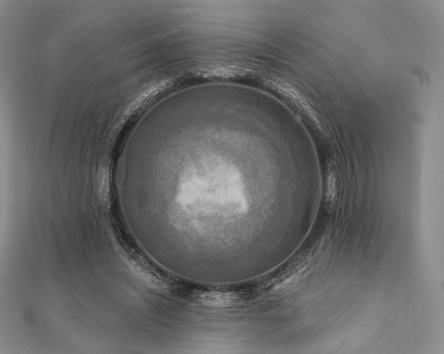 X0000112100444200908041514
