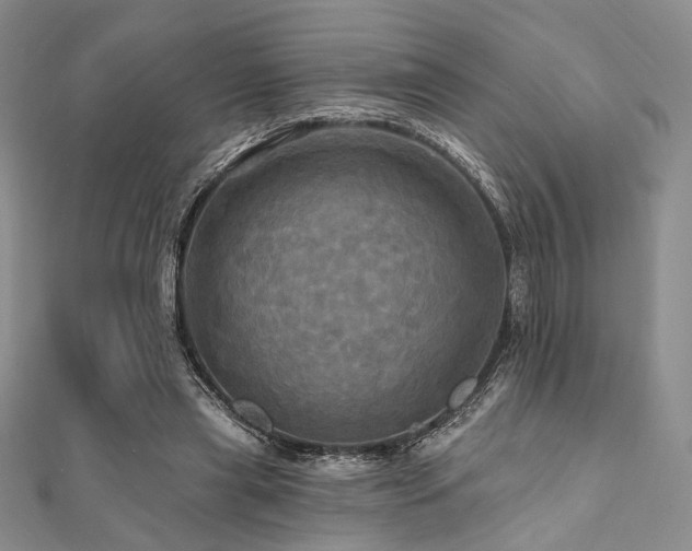 X0000112100445200908041514