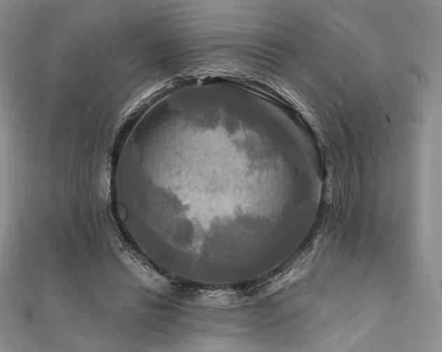 X0000112100446200908041514