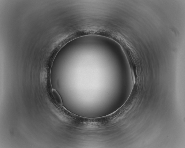 X0000112100448200908041514