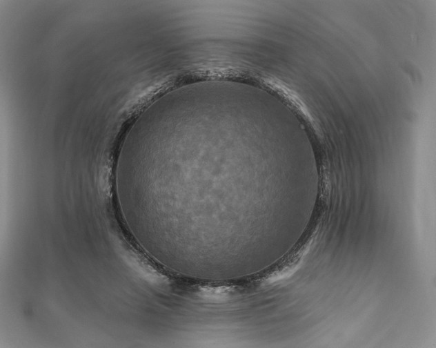 X0000112100450200908041514