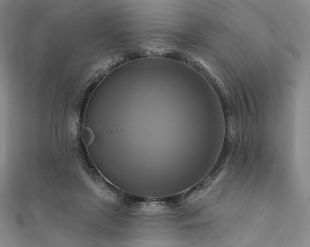 X0000112100451200908041514