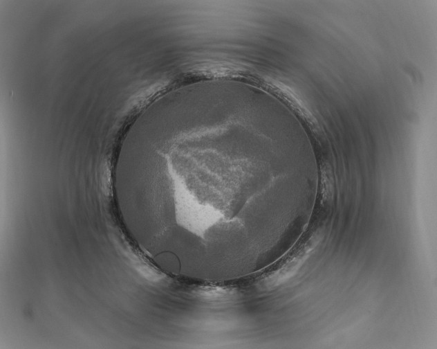 X0000112100453200908041514