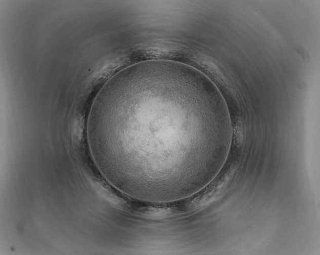 X0000112100458200908041514