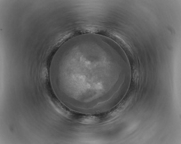 X0000112100459200908041514