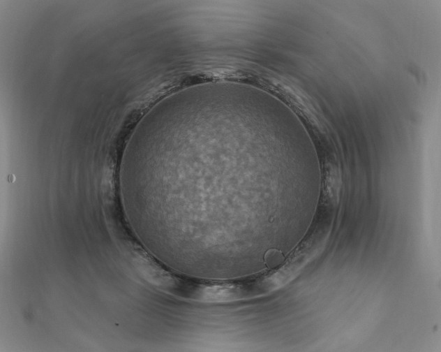 X0000112100461200908041514