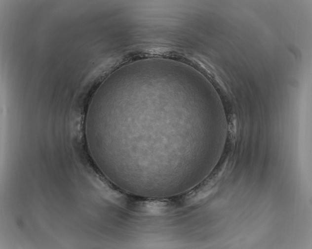 X0000112100462200908041514
