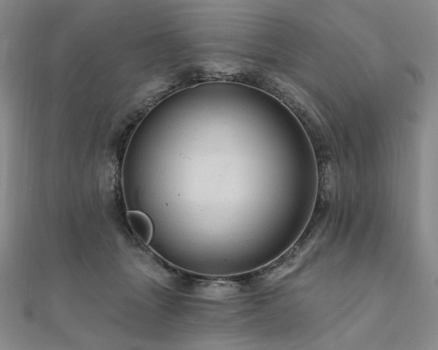 X0000112100463200908041514