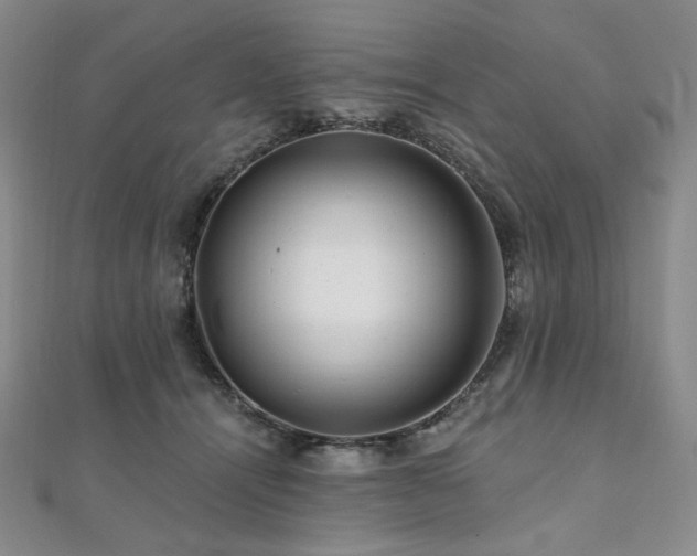 X0000112100464200908041514