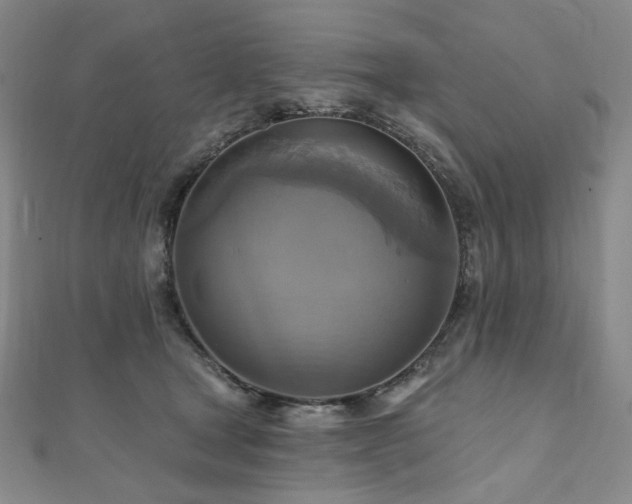 X0000112100465200908041514