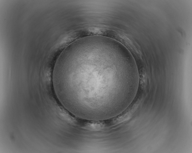 X0000112100466200908041514