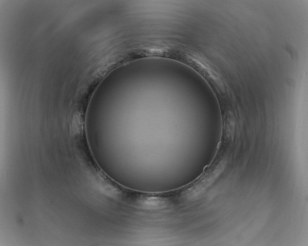 X0000112100467200908041514