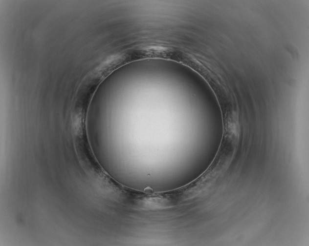 X0000112100468200908041514