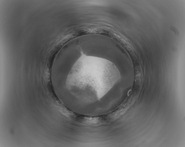 X0000112100469200908041514