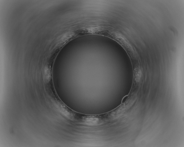 X0000112100471200908041514