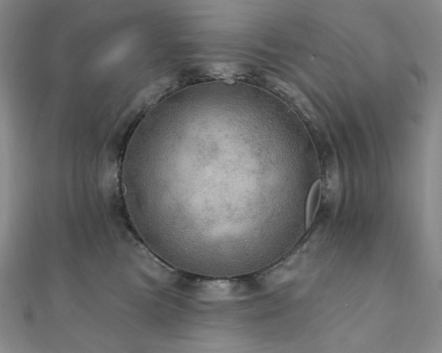 X0000112100473200908041515