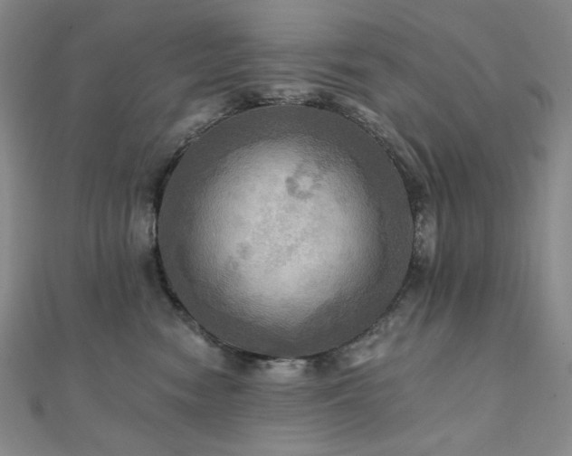 X0000112100474200908041515