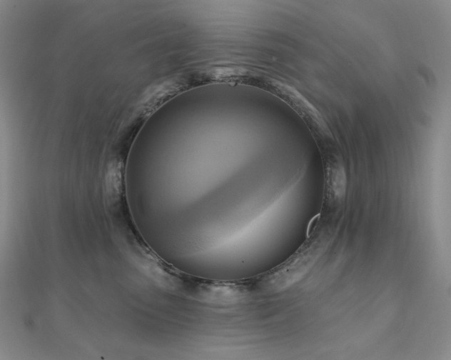 X0000112100475200908041515