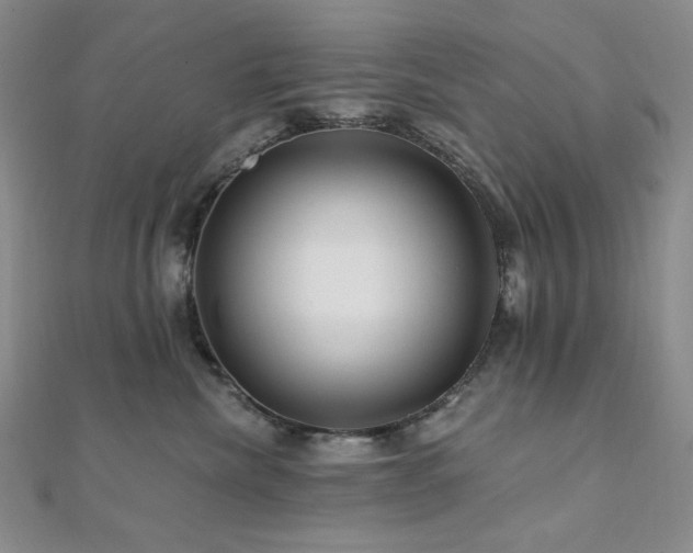 X0000112100476200908041515
