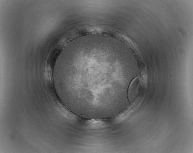 X0000112100477200908041515