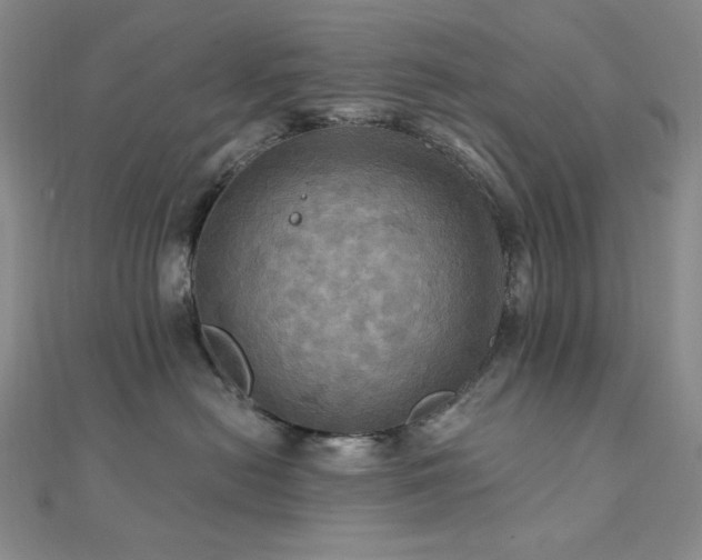 X0000112100478200908041515