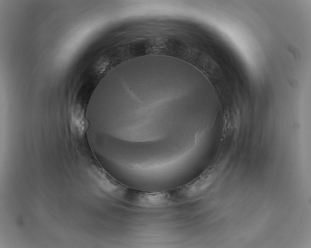 X0000112100479200908041515