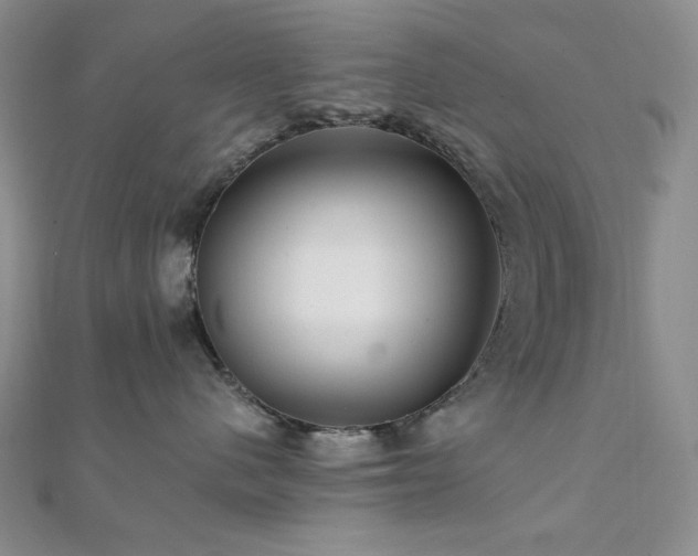X0000112100480200908041515