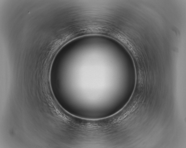 X0000112100481200908041514