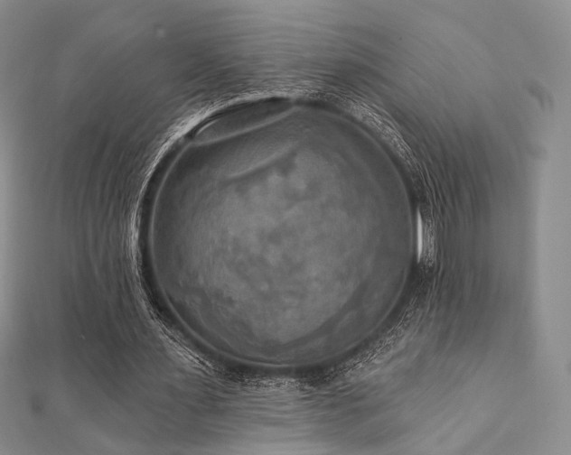 X0000112100483200908041514