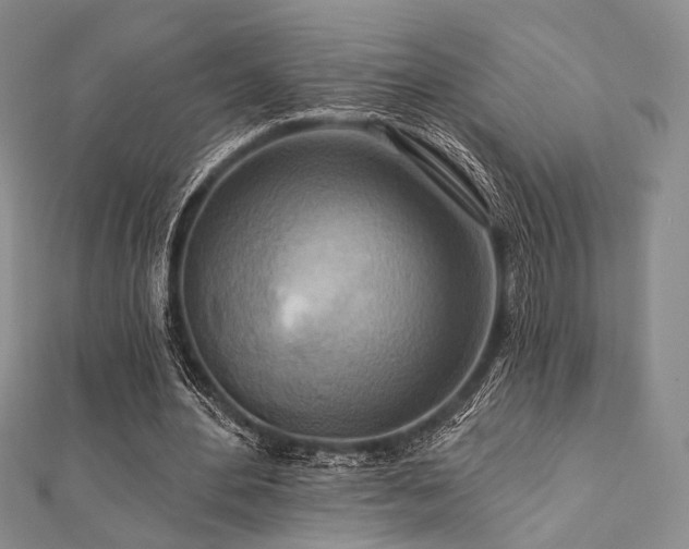 X0000112100484200908041514