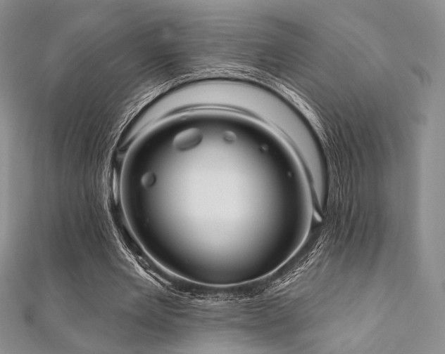 X0000112100485200908041514