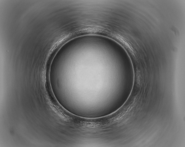 X0000112100486200908041514